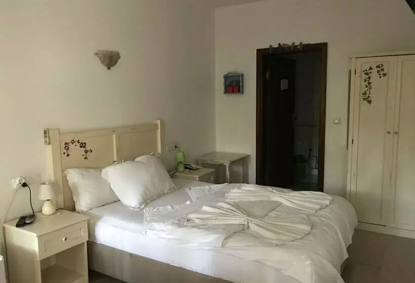 Standard-huone, Kano