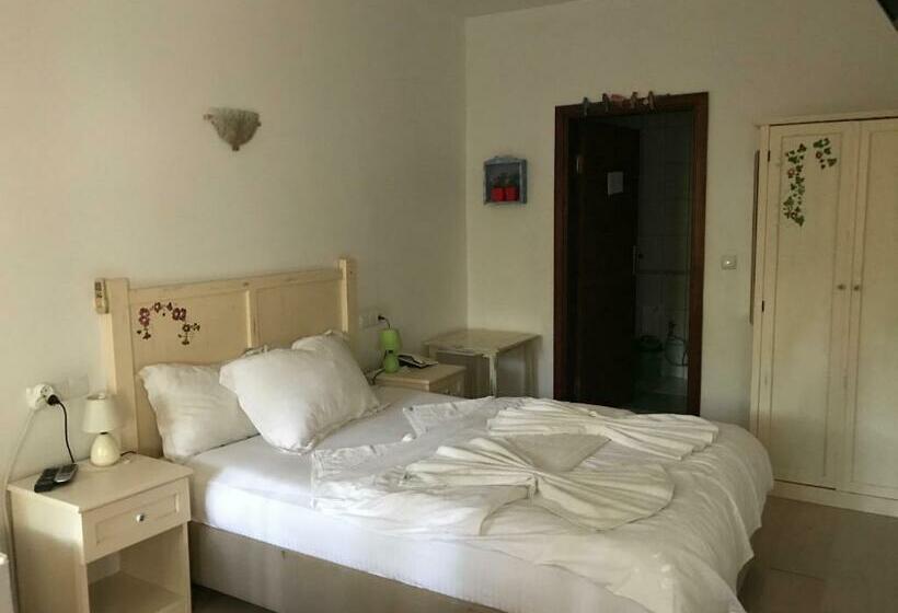 חדר סטנדרט, Kano