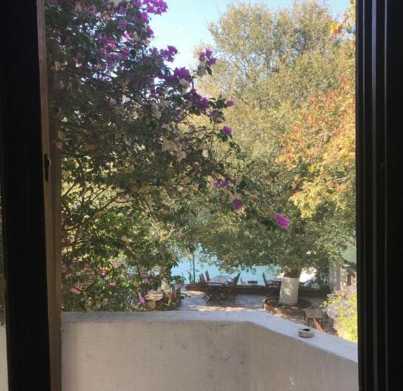 חדר דלוקס, Kano