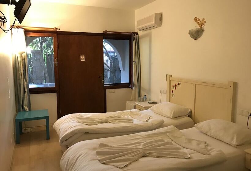 חדר סטנדרט, Kano