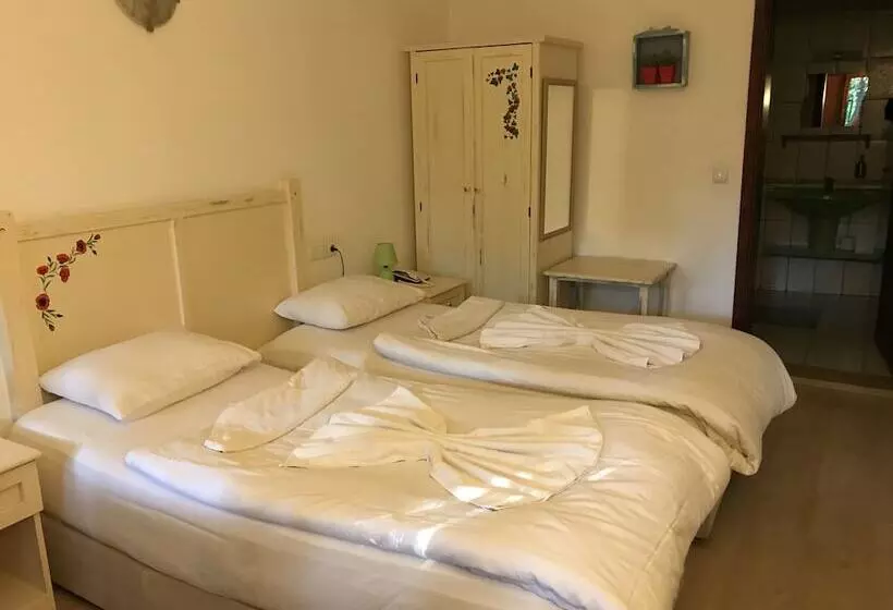 Standard-huone, Kano