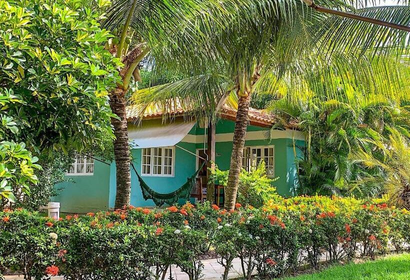 一居室高级别墅, La Dolce Vita Flat & Pousada