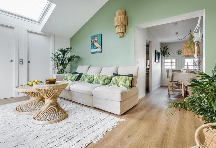 דירת חדר עם טרסה, Hôtel Palmito