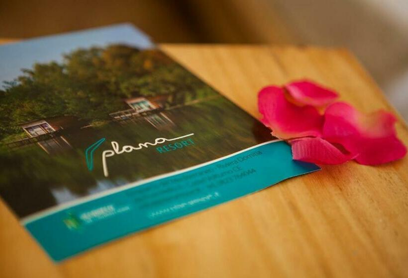 标准间, Plana Resort & Spa