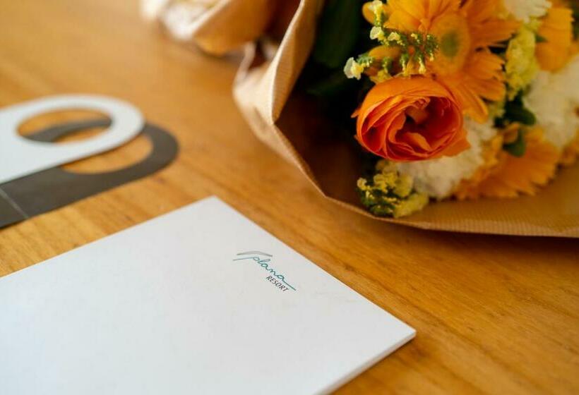 اتاق استاندارد, Plana Resort & Spa