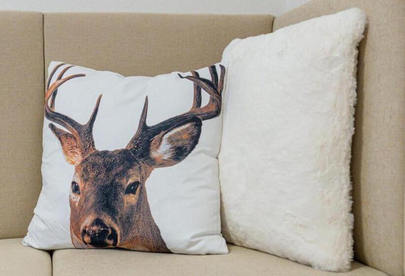 סוויטה, Torretta