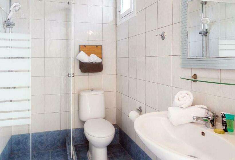 带1个卧室的公寓, Kapsohora Inn