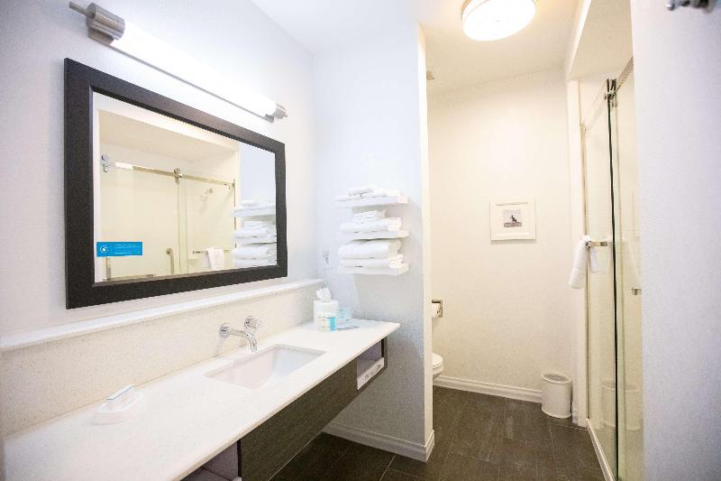 Номер Стандарт, The Commodore