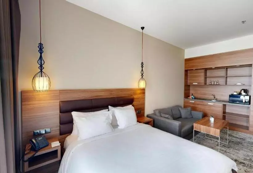 Monolocale Standard Letto King, Best Western Premier Sofia Airport