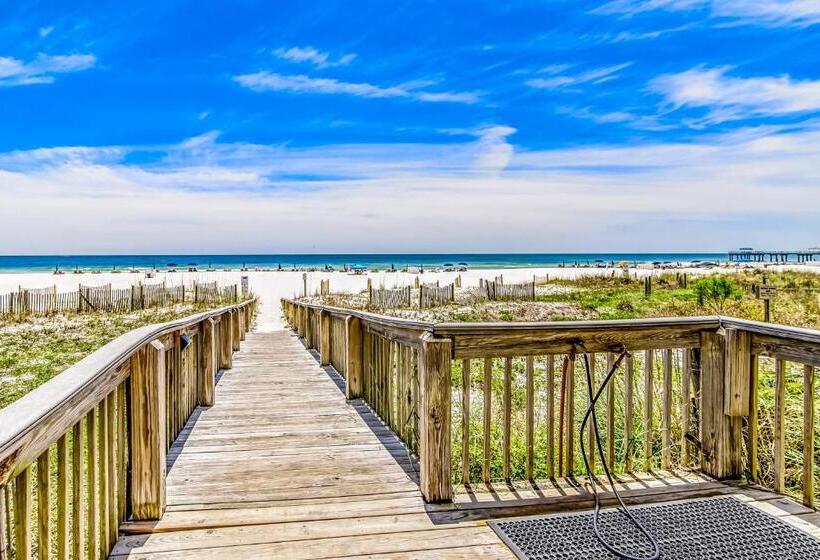 Апартаменты 3 Спальни, The Palms #1002