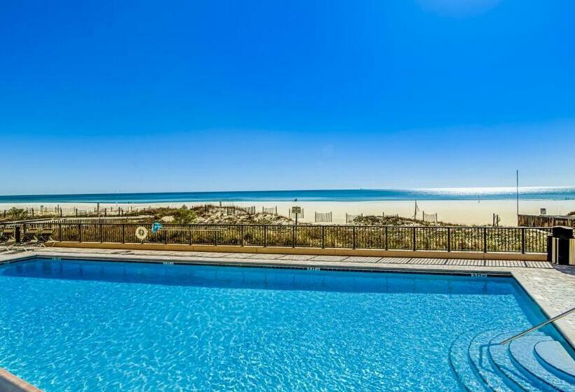 Апартаменты 3 Спальни, The Palms #1002