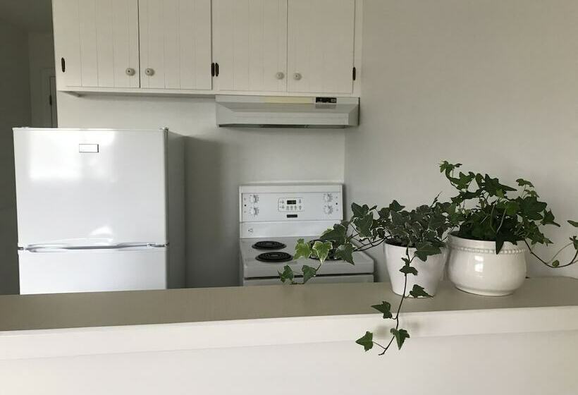 1 Schlafzimmer Apartment, Banbridge Inn