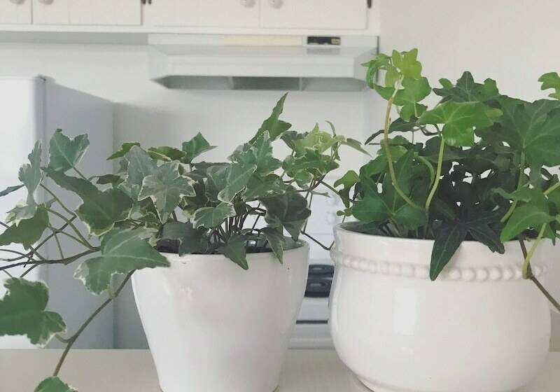 1 Schlafzimmer Apartment, Banbridge Inn