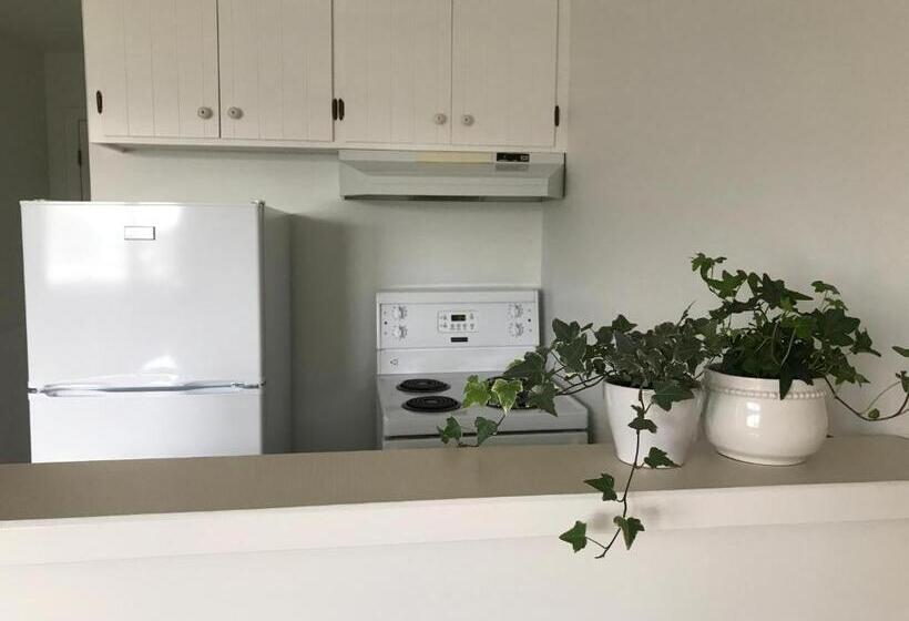 1 Schlafzimmer Apartment, Banbridge Inn