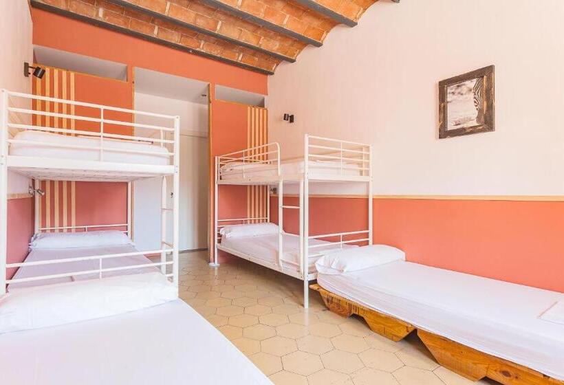 اتاق خانوادگی, Bird House