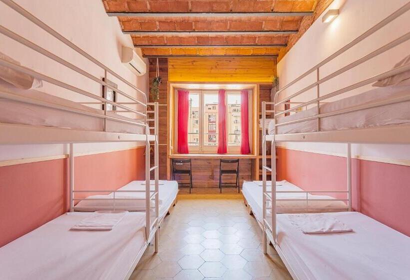 اتاق خانوادگی, Bird House