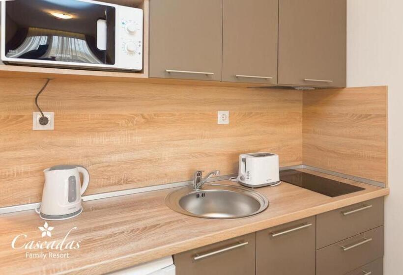 标准工作室, Cascadas Family Resort