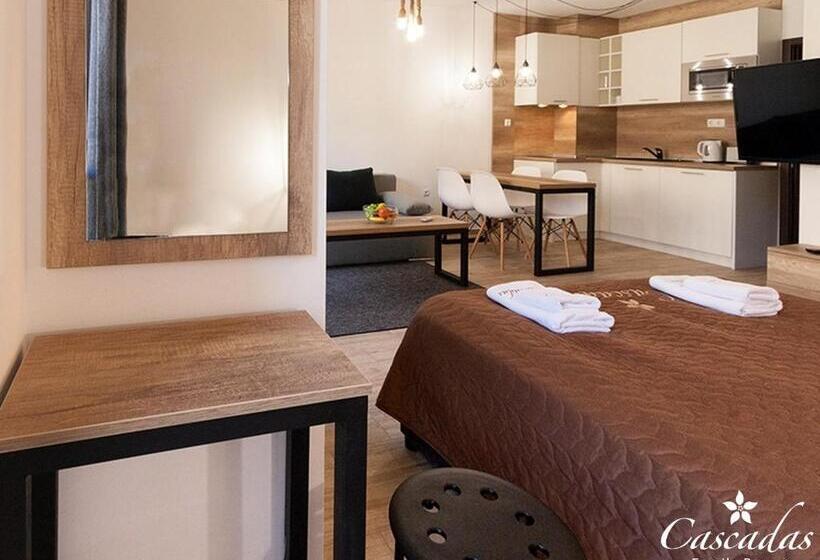 标准工作室, Cascadas Family Resort