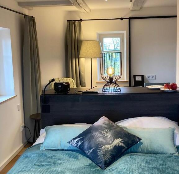 Cameră Standard, Burg Abenberg