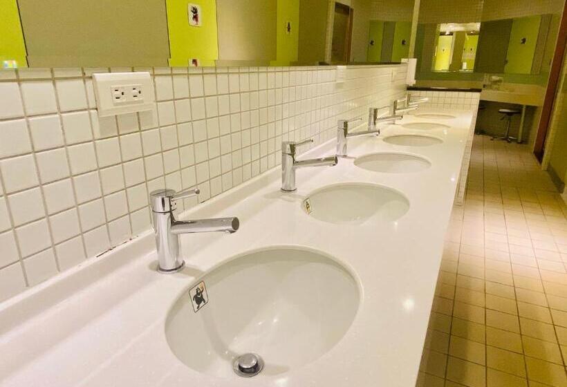 Capsule, Hey Bear Capsule