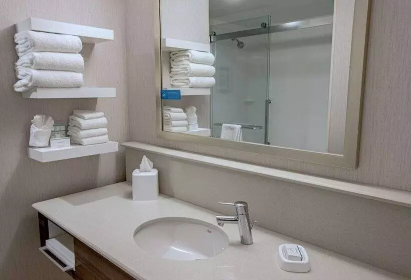ダブルベッドのスタンダードスタジオ, Hampton Inn By Hilton Amesbury