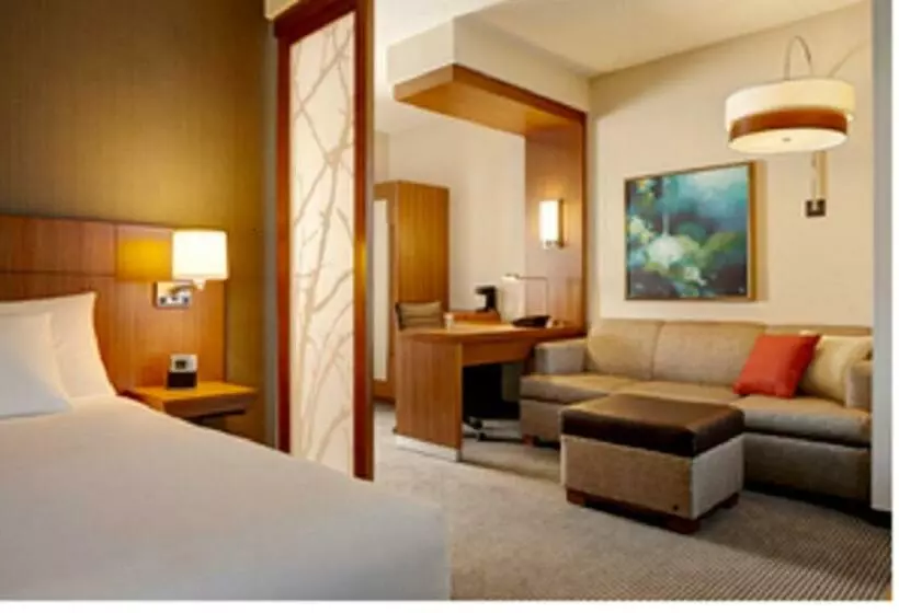 キングサイズベッドのスタンダードルーム, Hyatt Place Boca Raton