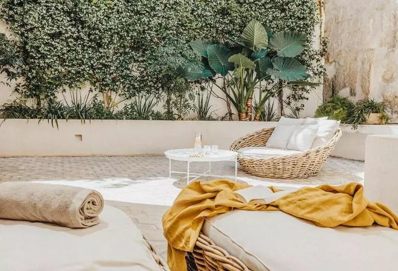 سوییت سوپریور, Jardí De Ses Bruixes Boutique