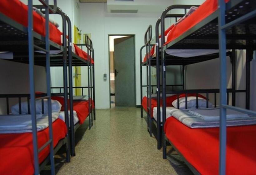 Bed in Shared Room with Shared Bathroom, Ideal Youth Hostel