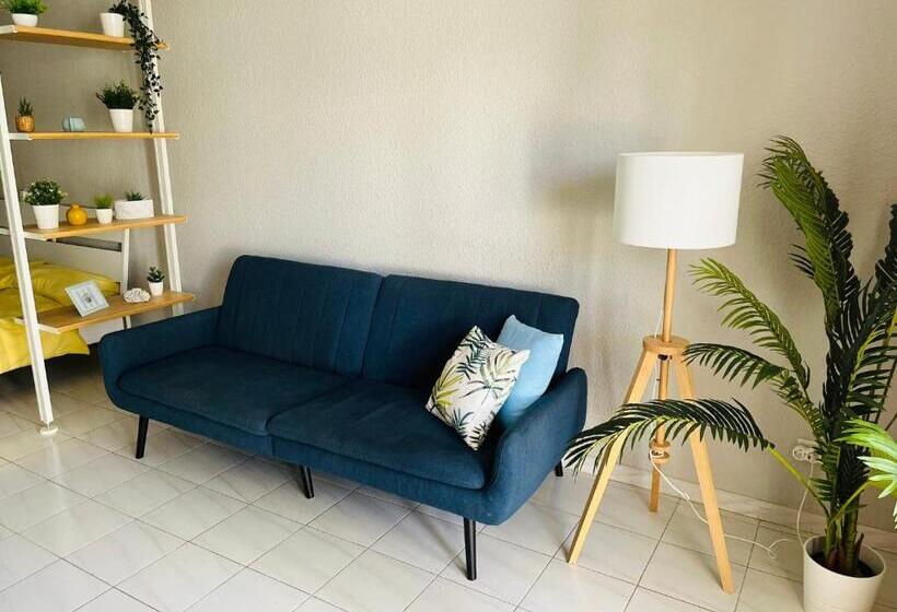 استودیو استاندارد با تراس, Coral Bay Port Royale