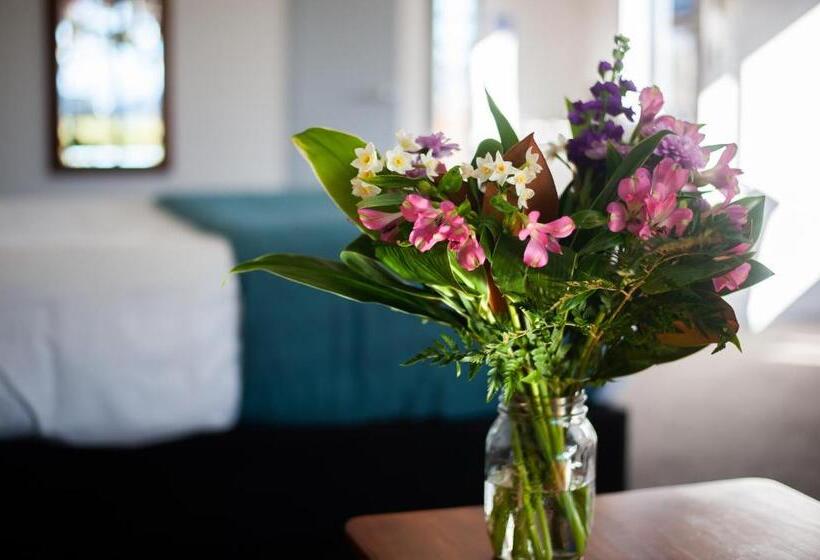 Апартаменты 1 Спальня, Carrick Lodge Motel