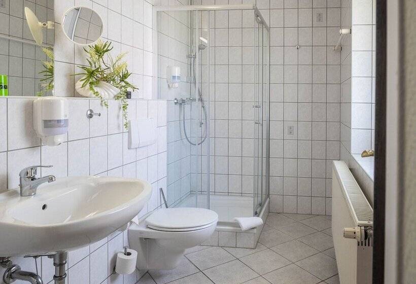 Номер Стандарт с Балконом, Ferien Hotel Spree Neisse