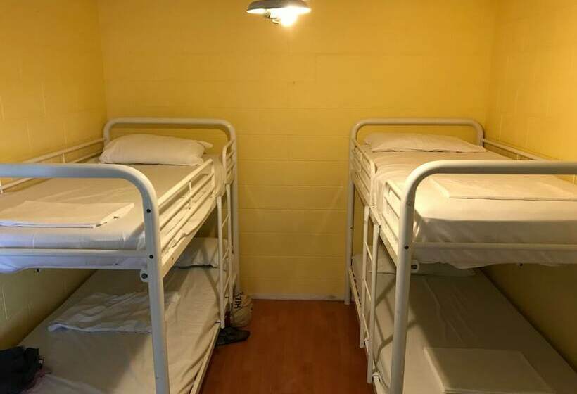 מיטה בחדר משותף, Cali Backpackers