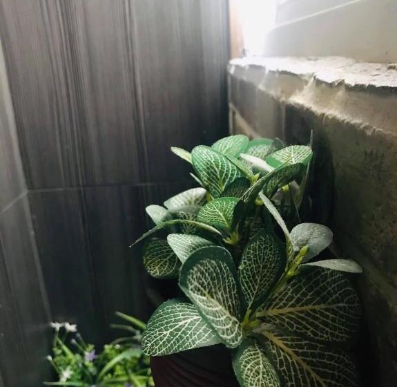 Bed in Shared Room with Shared Bathroom, Kenting My Home