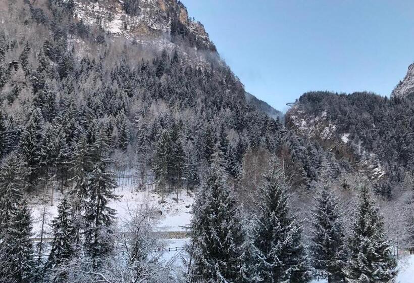 חדר אקונומי, Edelweiss