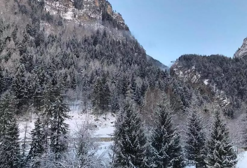 اتاق اکونومی, Edelweiss