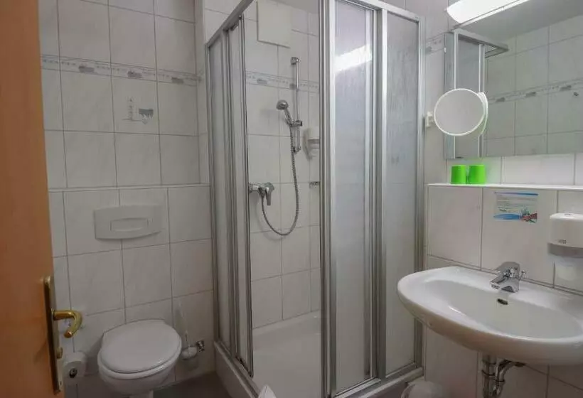 اتاق استاندارد یک نفره, Ferien Hotel Spree Neisse