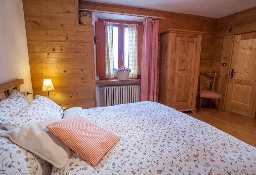 Номер Стандарт, Funivia