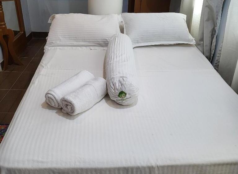 غرفة إقتصادية, Green Monkey Resort Boracay
