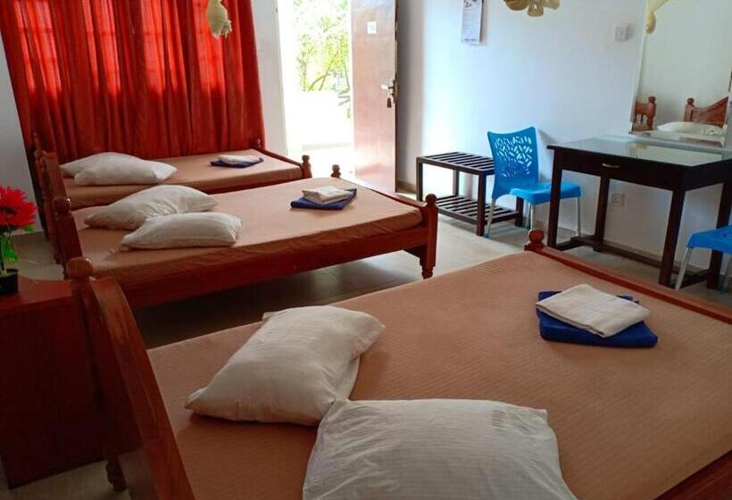 Семейный Номер, Senora