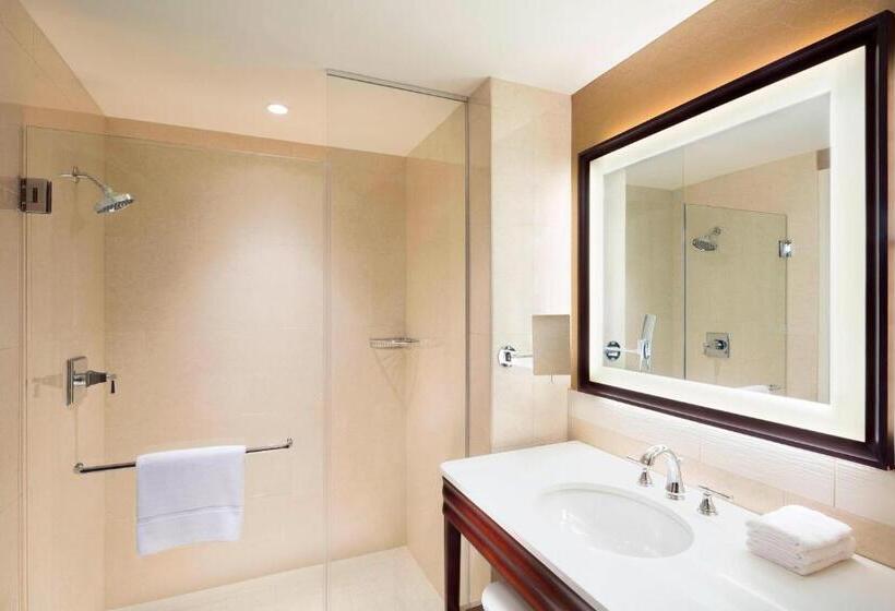 带大床的标准间, Sheraton Austin Georgetown Hotel & Conference Center