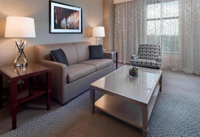 带双人大床的行政管理套房, Sheraton Austin Georgetown Hotel & Conference Center