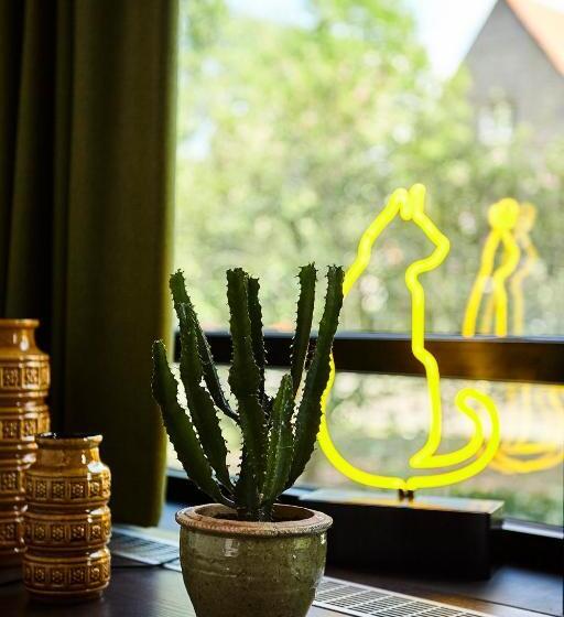 غرفة كومفورت, V Fizeaustraat