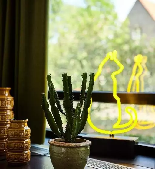 اتاق راحتی, V Fizeaustraat
