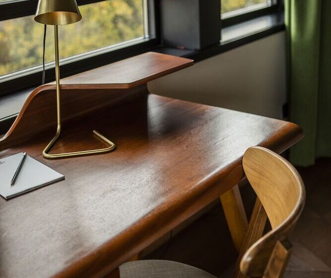 غرفة بريميوم, V Fizeaustraat