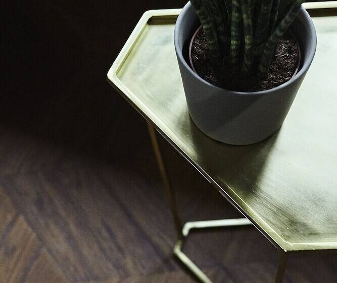 غرفة بريميوم, V Fizeaustraat