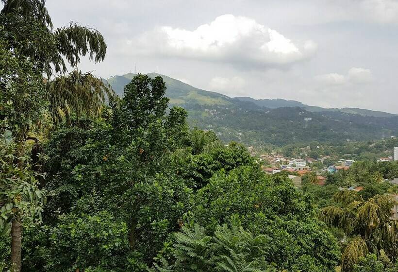 Habitació Deluxe, Villa107