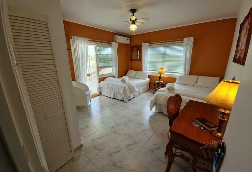 اتاق استاندارد با چشمانداز استخر, Adonai Hotel Boutique