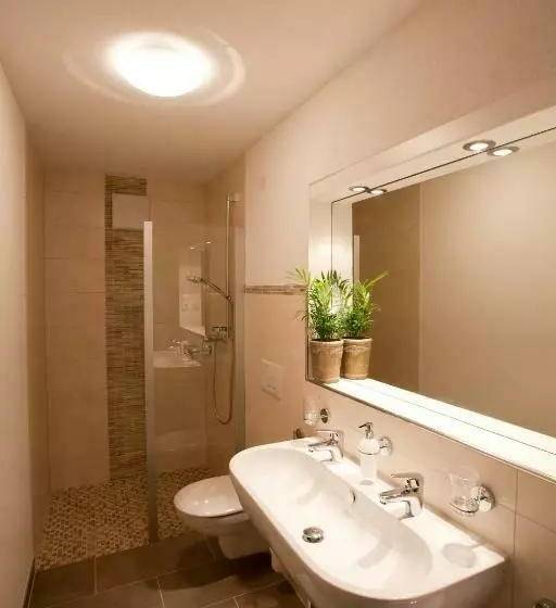 Apartament 2 Dormitoris, Alpenhof Wängle