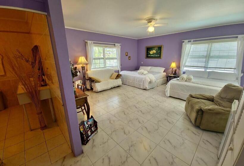 سوییت, Adonai Hotel Boutique