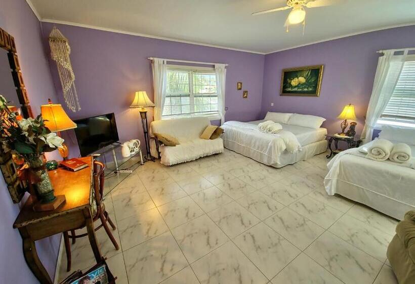 سوییت, Adonai Hotel Boutique